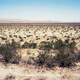 Image for article titled The Oldest Living Things in the World